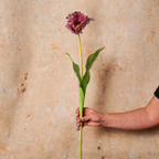Parrot Real Touch Tulip Stem