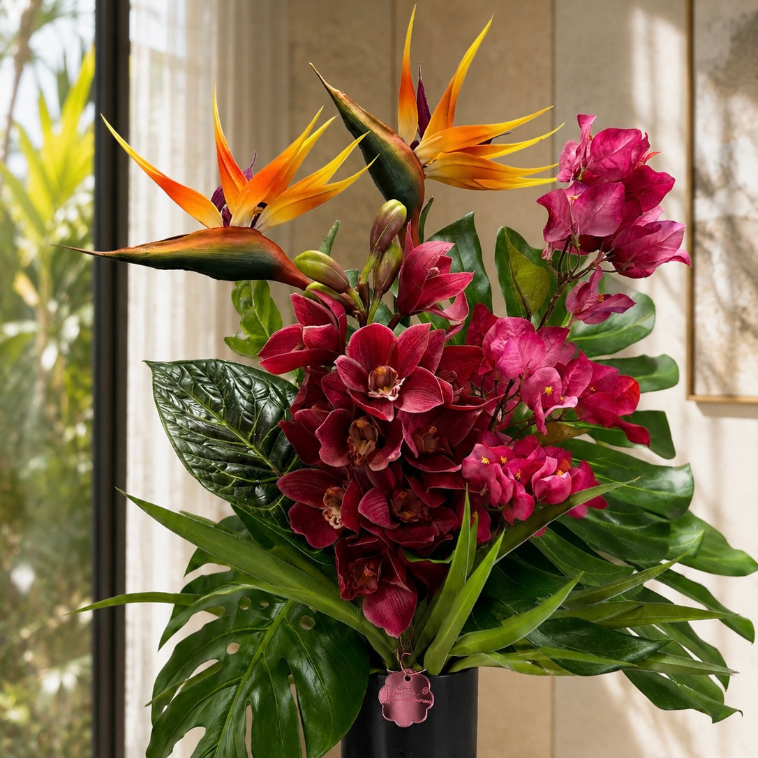 The Tropics
