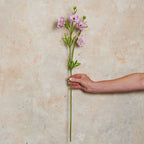 Ranunculus Spring Spray Real Touch Flower Stem