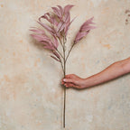Eucalyptus Spray Dusty Pink Stem