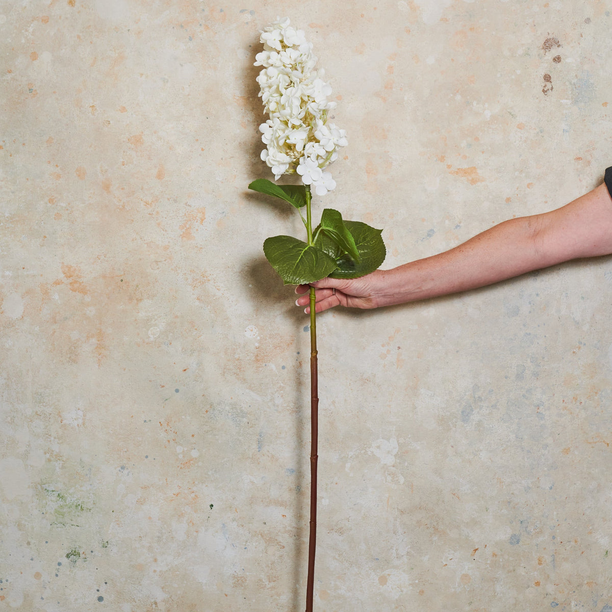 Hydrangea Cone Real Touch Flower Stem