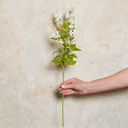Larkspur Spray Real Touch Flower Stem