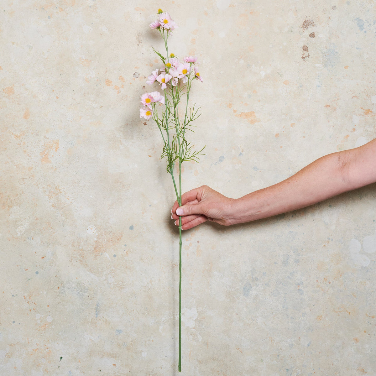 Cosmo Spray Real Touch Flower Stem