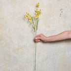 Cosmo Spray Real Touch Flower Stem
