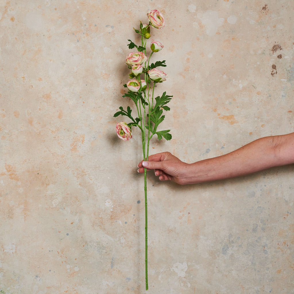 Ranunculus Wild Real Touch Flower Stem