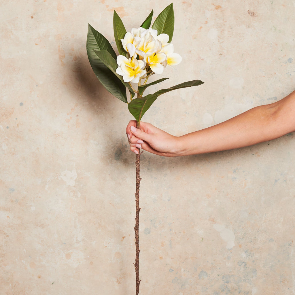 Frangipani Real Touch Flower Stem