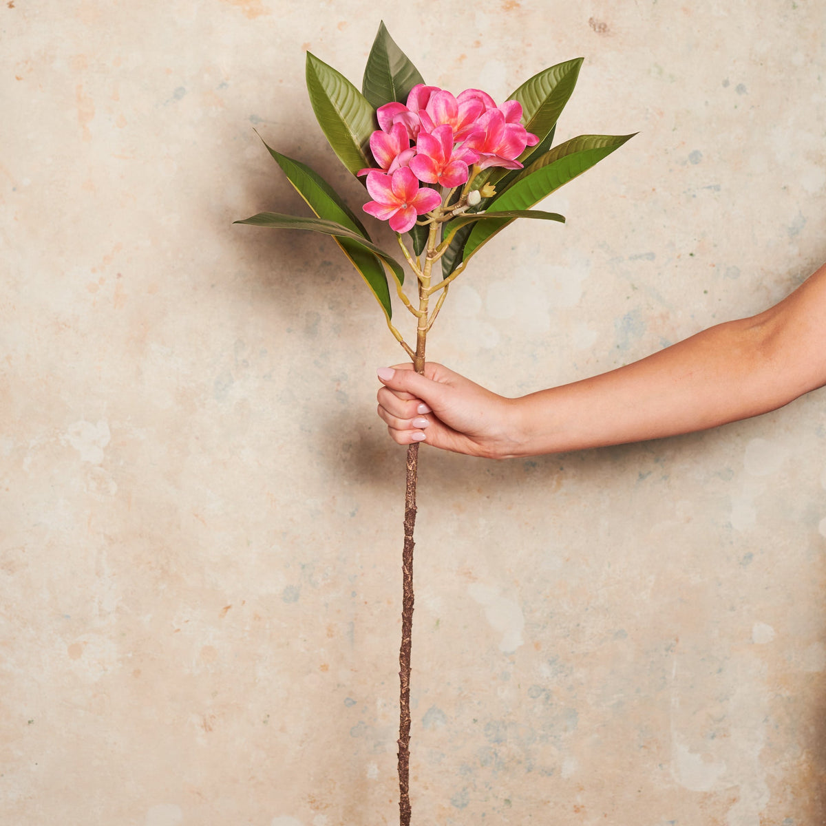 Frangipani Real Touch Flower Stem