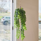 Darcy Hanging Ball Plant