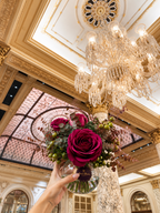 Plaza Hotel