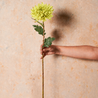 Chrysanthemum Real Touch Flower Stem