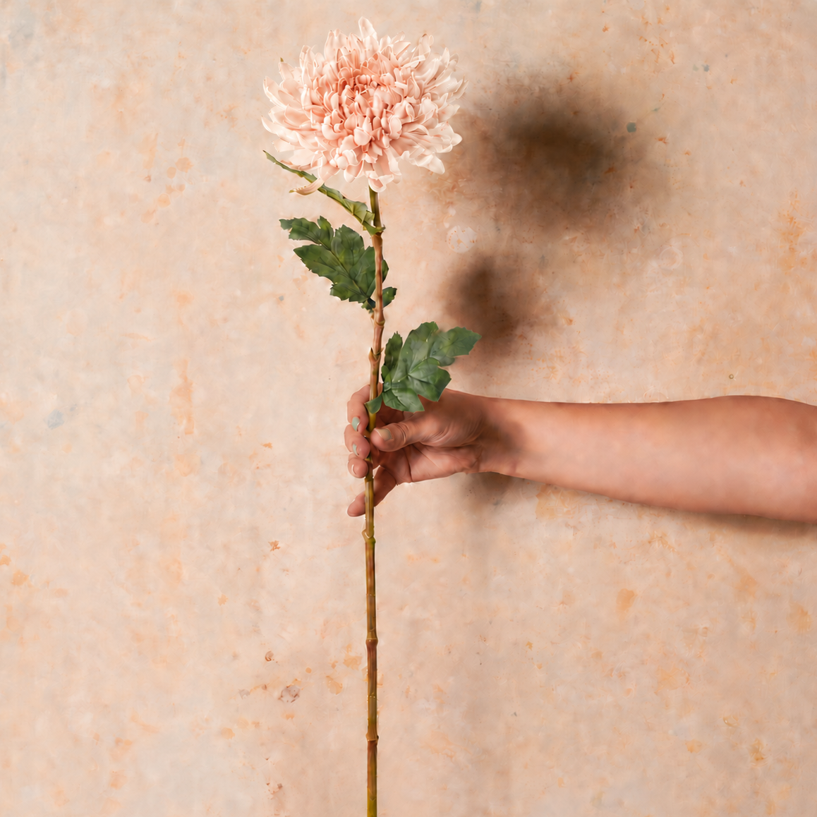 Chrysanthemum Real Touch Flower Stem