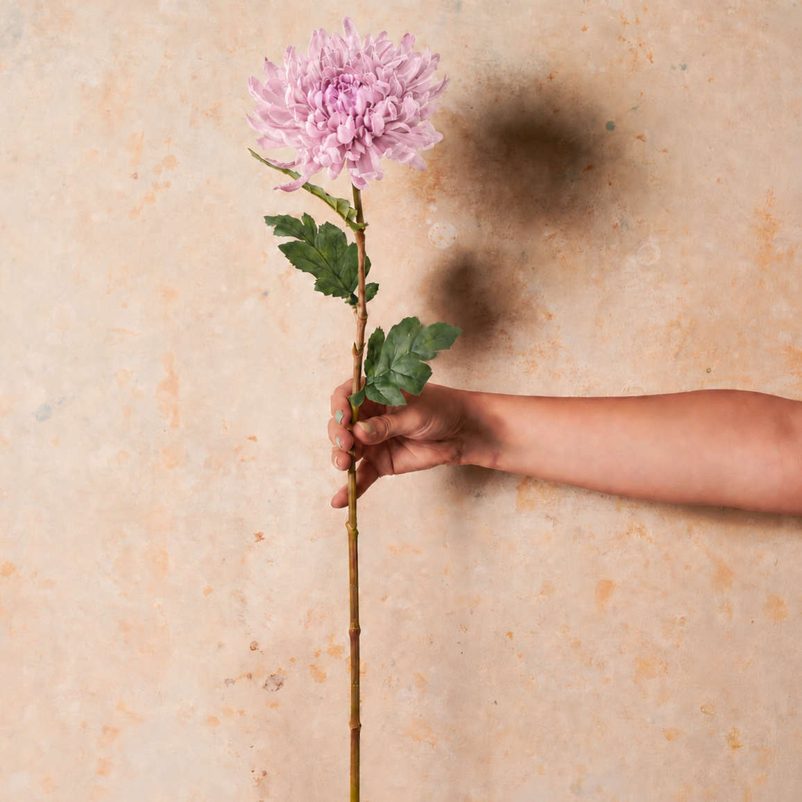 Chrysanthemum Real Touch Flower Stem